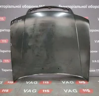 Капот (дефект) СПЕЦЦІНА
